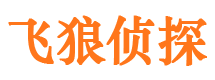 保定市私家侦探公司